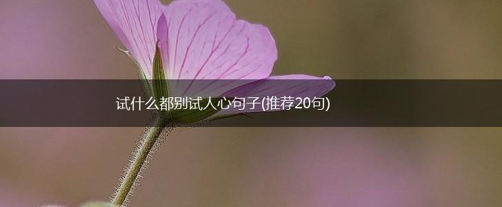 试什么都别试人心句子(推荐20句),第1张