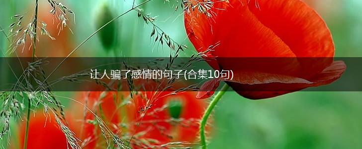 让人骗了感情的句子(合集10句),第1张