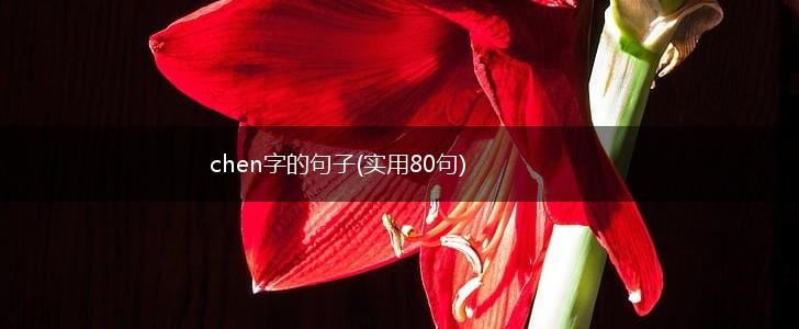 chen字的句子(实用80句),第1张