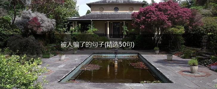 被人骗了的句子(精选50句),第1张