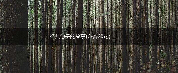 经典句子的故事(必备20句),第1张