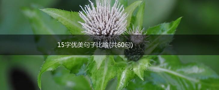 15字优美句子比喻(共60句),第1张