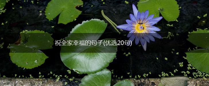 祝全家幸福的句子(优选20句),第1张