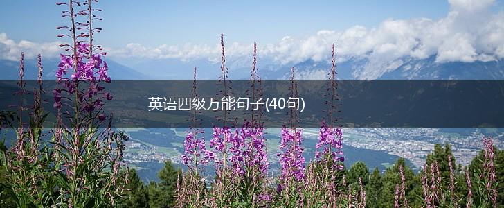 英语四级万能句子(40句),第1张