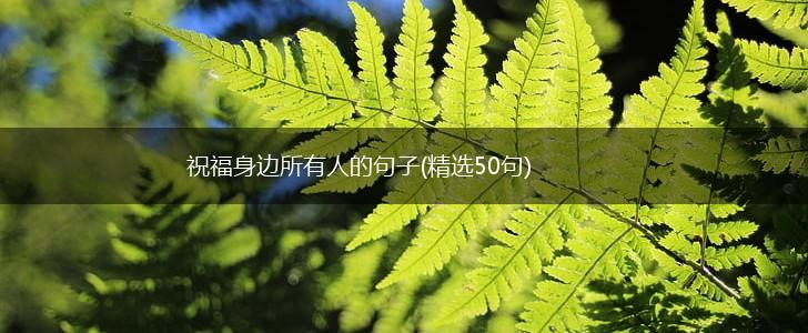 祝福身边所有人的句子(精选50句),第1张