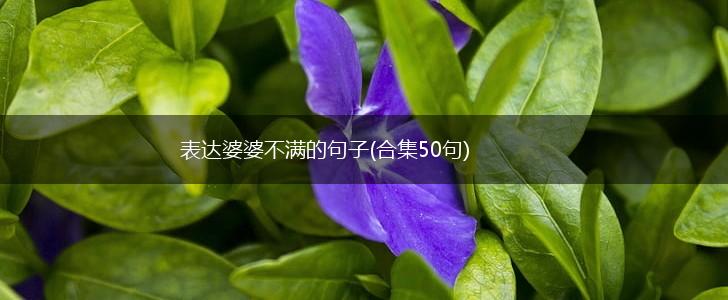 表达婆婆不满的句子(合集50句),第1张