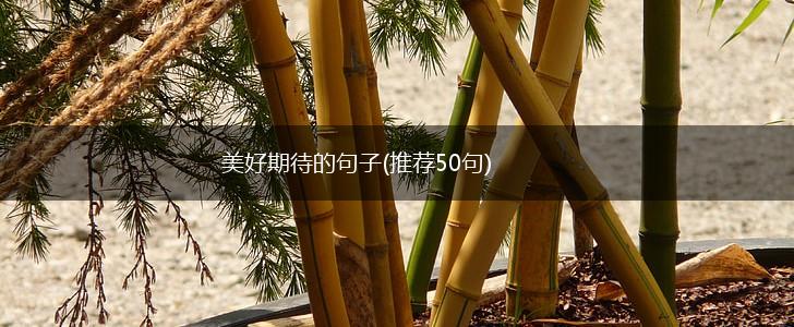 美好期待的句子(推荐50句),第1张