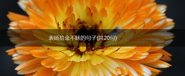 表扬拾金不昧的句子(共20句),第1张
