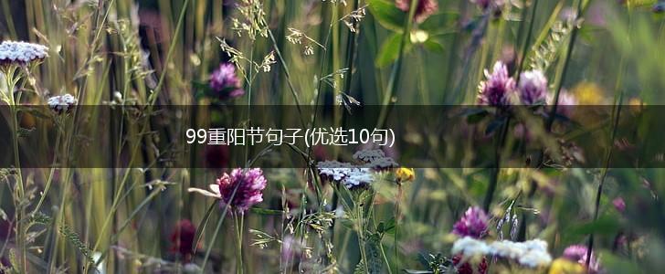 99重阳节句子(优选10句),第1张