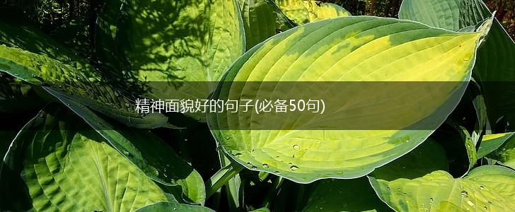 精神面貌好的句子(必备50句),第1张