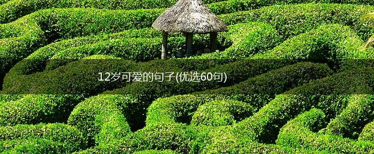 12岁可爱的句子(优选60句),第1张