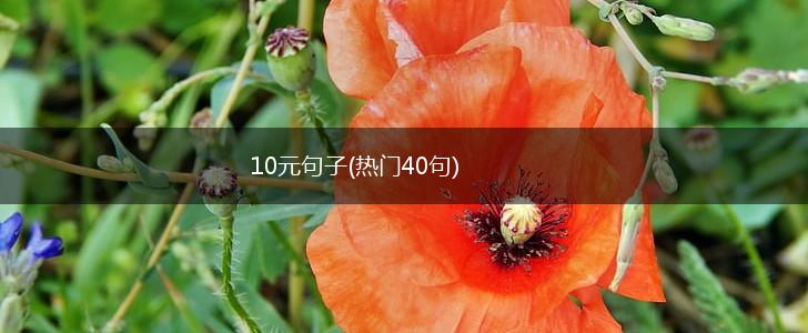 10元句子(热门40句),第1张