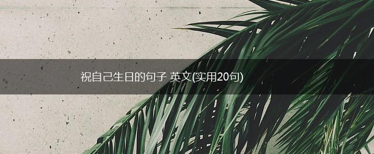 祝自己生日的句子 英文(实用20句),第1张