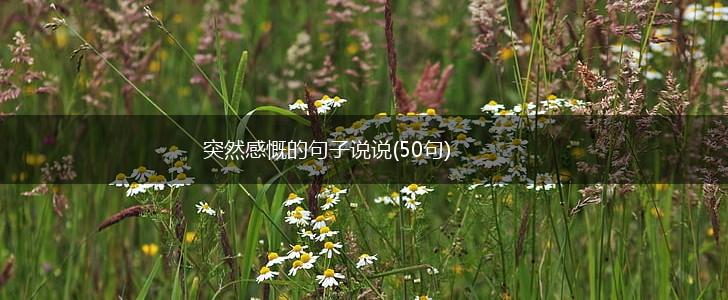 突然感慨的句子说说(50句),第1张