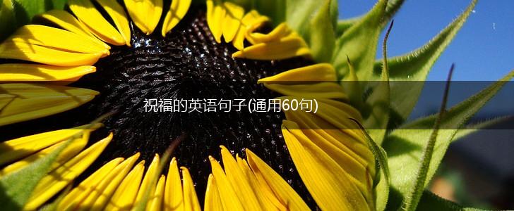 祝福的英语句子(通用60句),第1张