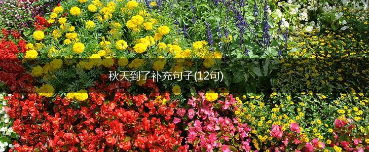 秋天到了补充句子(12句),第1张
