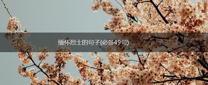 缅怀烈士的句子(必备49句),第1张