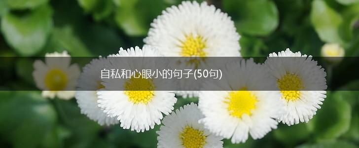 自私和心眼小的句子(50句),第1张