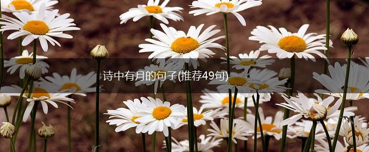 诗中有月的句子(推荐49句),第1张