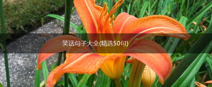 笑话句子大全(精选50句),第1张