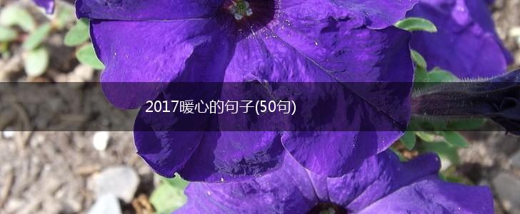 2017暖心的句子(50句),第1张