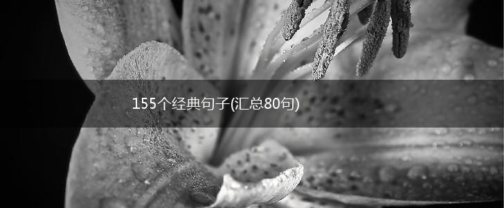 155个经典句子(汇总80句),第1张
