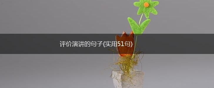 评价演讲的句子(实用51句),第1张