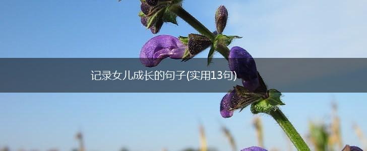 记录女儿成长的句子(实用13句),第1张
