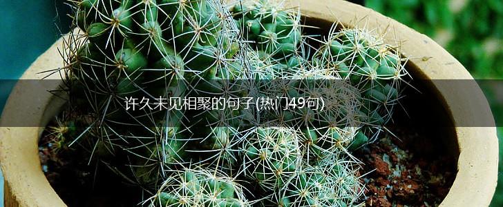 许久未见相聚的句子(热门49句),第1张