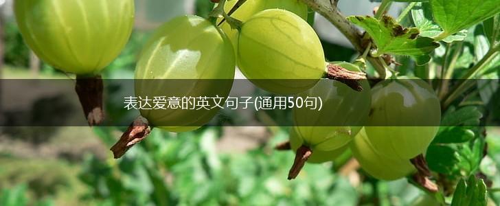 表达爱意的英文句子(通用50句),第1张