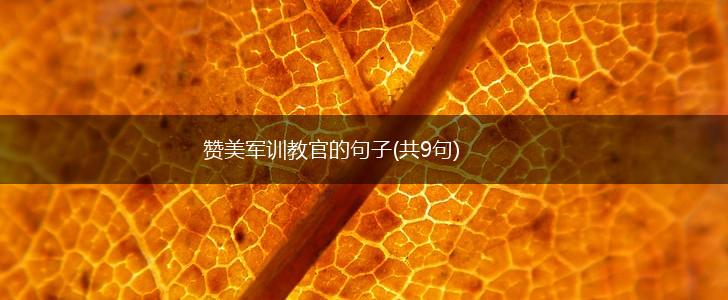 赞美军训教官的句子(共9句),第1张