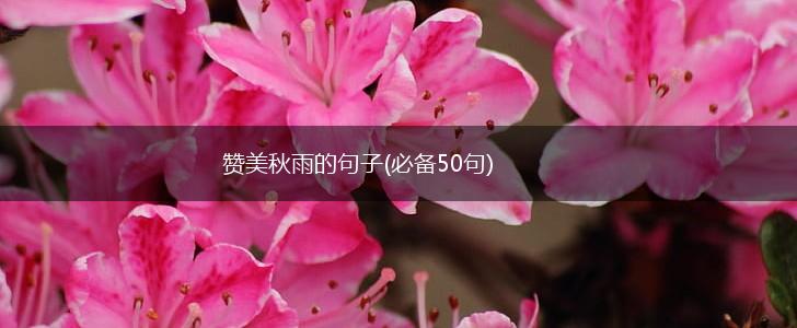 赞美秋雨的句子(必备50句),第1张