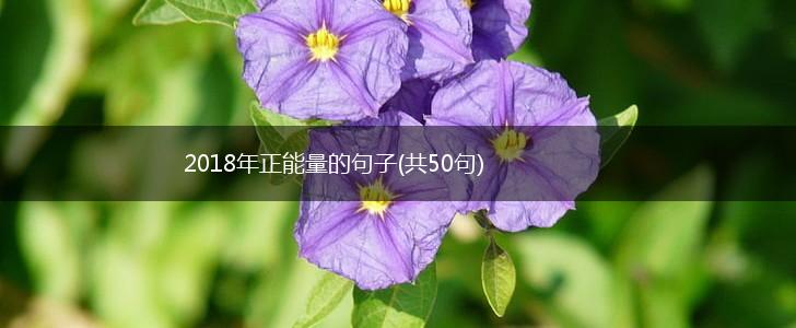 2018年正能量的句子(共50句),第1张