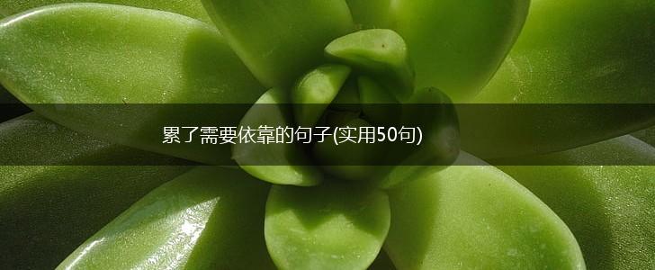 累了需要依靠的句子(实用50句),第1张