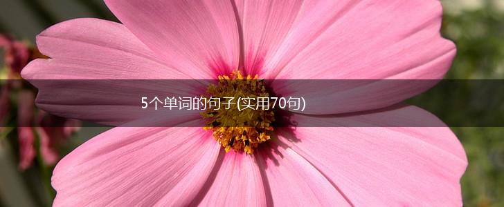 5个单词的句子(实用70句),第1张