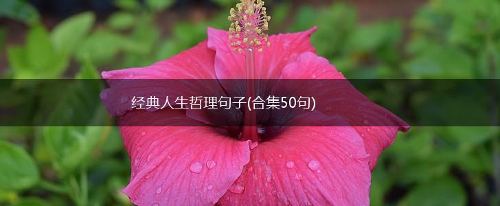 经典人生哲理句子(合集50句),第1张