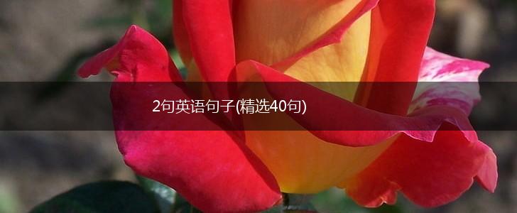 2句英语句子(精选40句),第1张