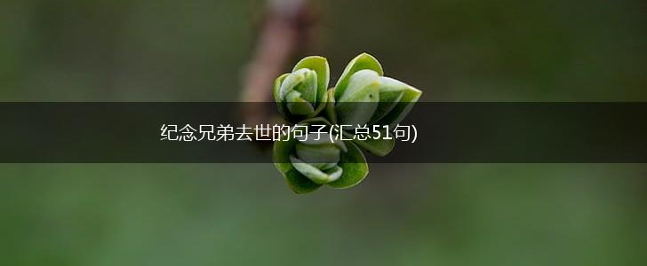 纪念兄弟去世的句子(汇总51句),第1张