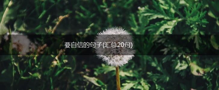 要自信的句子(汇总20句),第1张