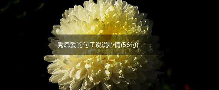 秀恩爱的句子说说心情(56句),第1张