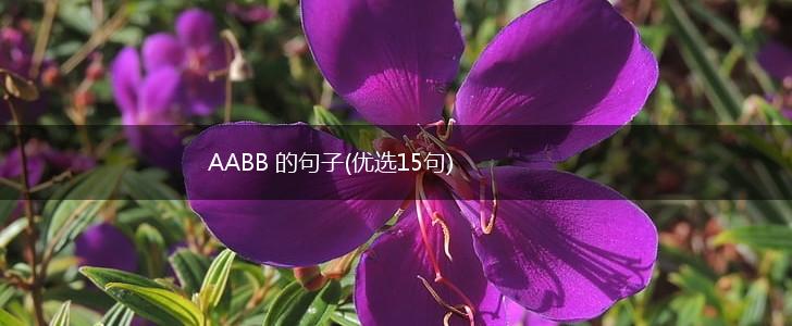 AABB 的句子(优选15句),第1张
