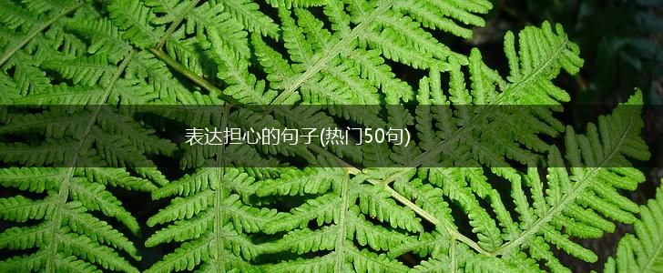 表达担心的句子(热门50句),第1张