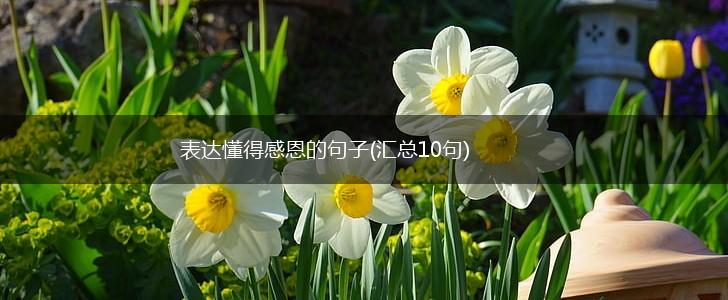表达懂得感恩的句子(汇总10句),第1张