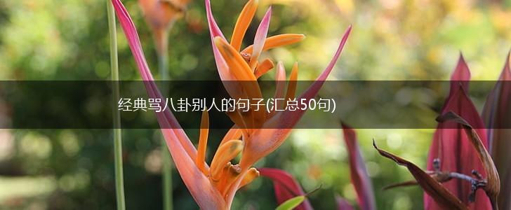 经典骂八卦别人的句子(汇总50句),第1张