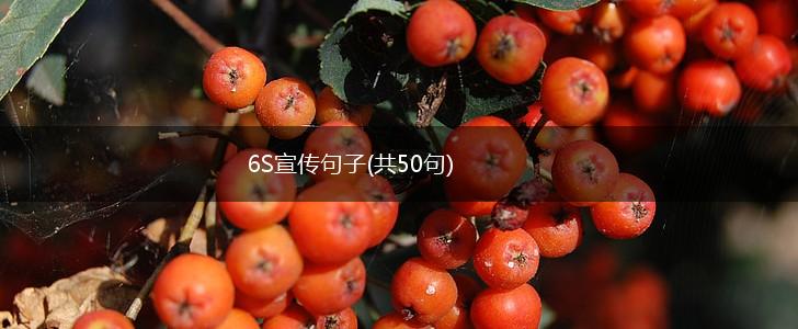6S宣传句子(共50句),第1张