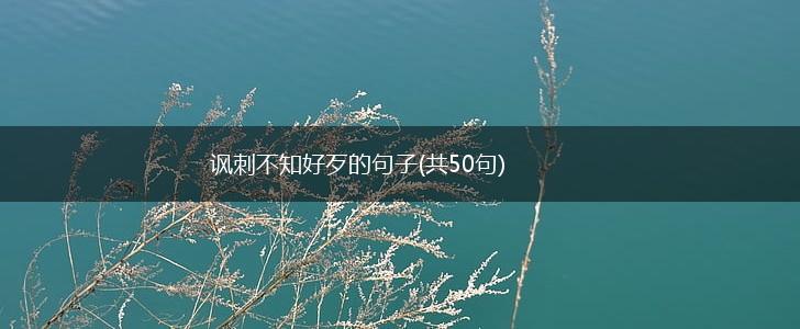 讽刺不知好歹的句子(共50句),第1张