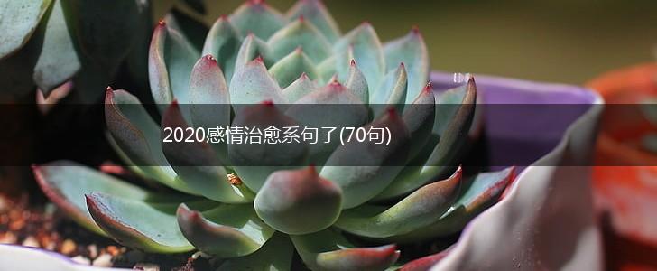 2020感情治愈系句子(70句),第1张