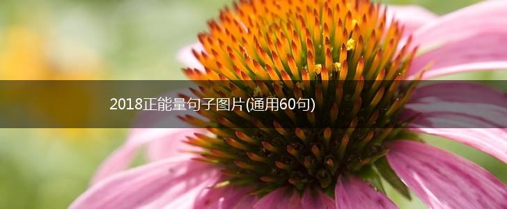 2018正能量句子图片(通用60句),第1张
