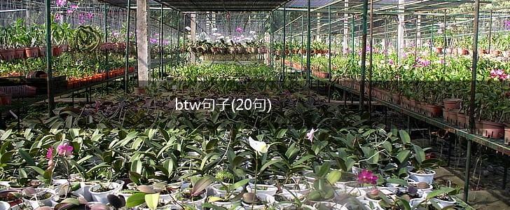 btw句子(20句),第1张