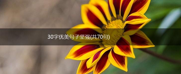 30字优美句子坚强(共70句),第1张